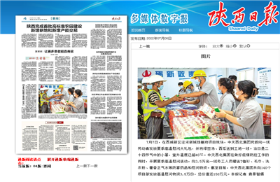 必威betway西北集团珑樾府项目高温慰问——《陕西日报》